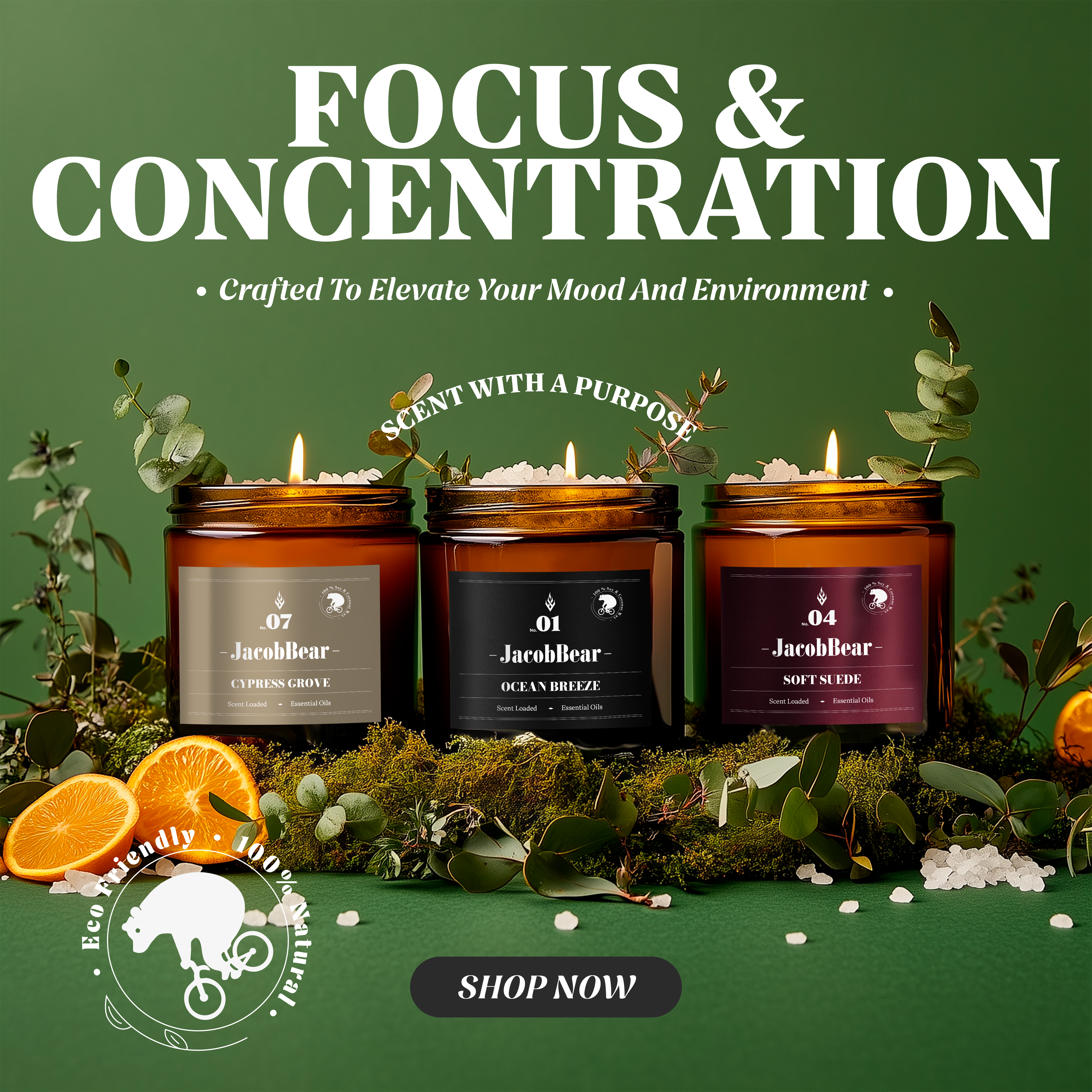 Focus & Concentration Collection